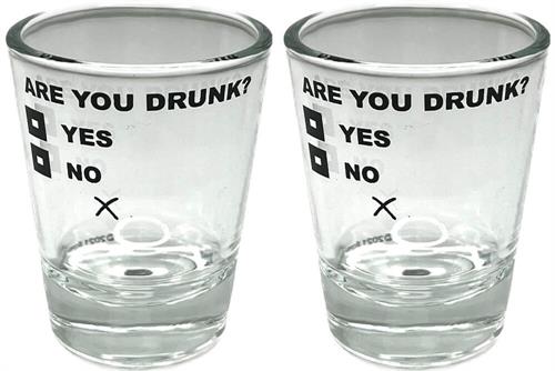 SHOT GLASS ARE YOU DRUNK? 2 PIECE SET