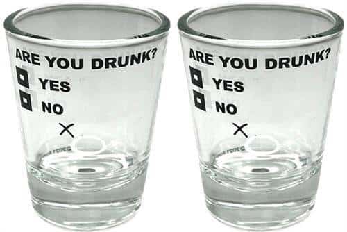 SHOT GLASS ARE YOU DRUNK? 2 PIECE SET - Smoke Shop Wholesale. Done Right.