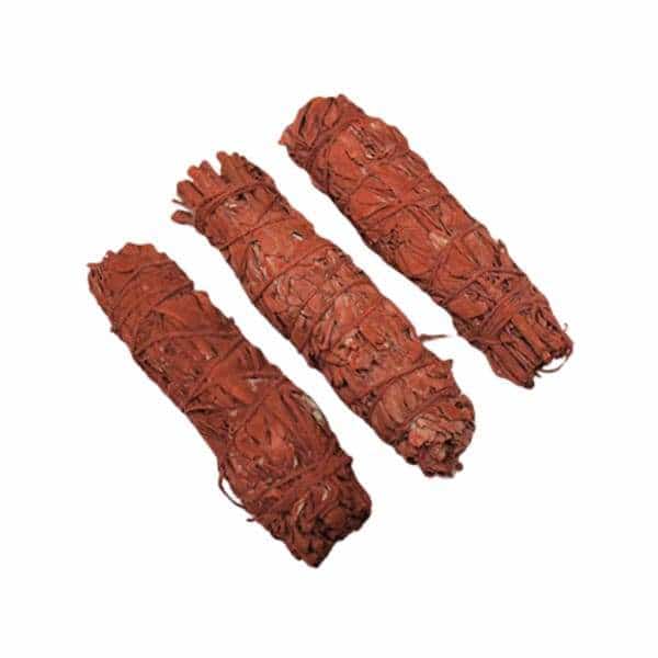 4’’ Dragon’s Blood Sage - 3ct - Smoke Shop Wholesale. Done Right.