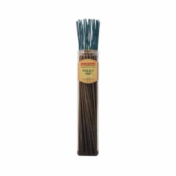 Wild Berry Fizzy Pop Biggies - Smoke Shop Wholesale. Done Right.