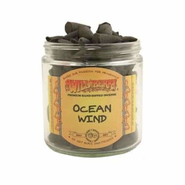 Wild Berry Ocean Wind Cones - Smoke Shop Wholesale. Done Right.